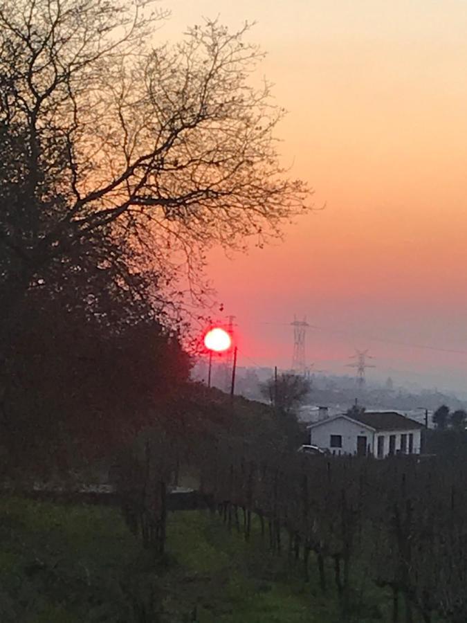Casa Nova Villa Guimarães Kültér fotó