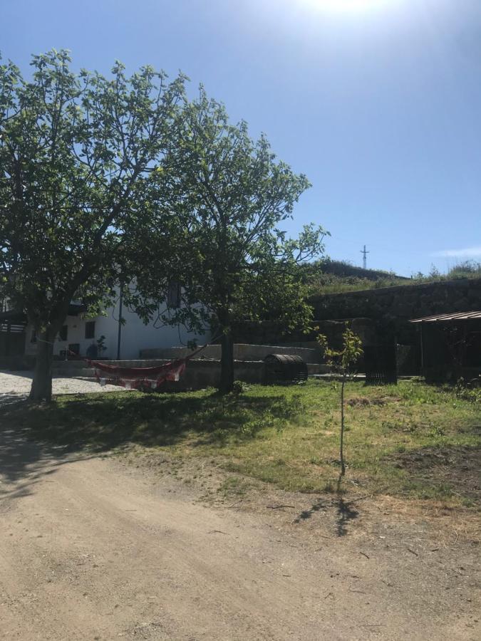 Casa Nova Villa Guimarães Kültér fotó