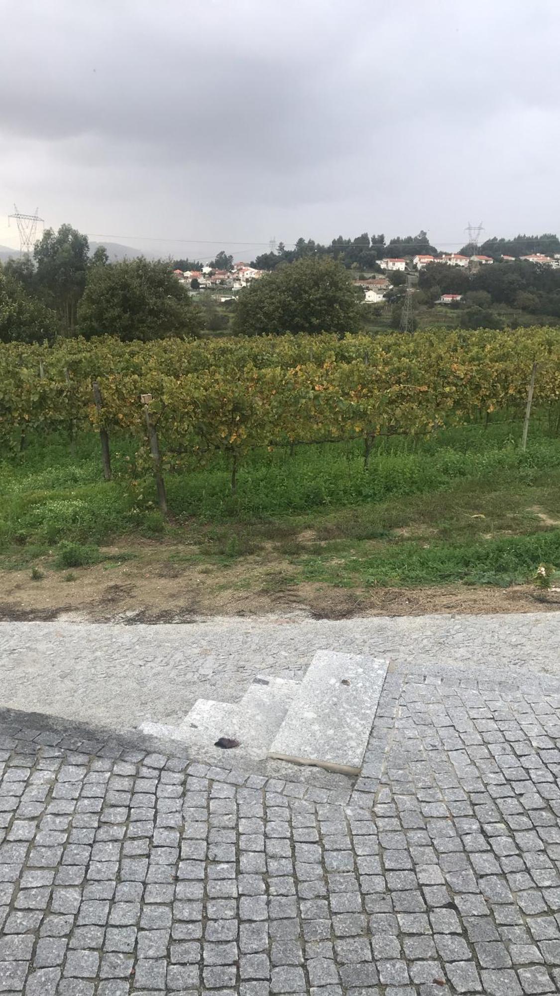 Casa Nova Villa Guimarães Kültér fotó